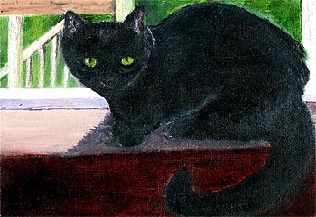 Fine Art Pet Portrait by Artist Donna Aldrich-Fontaine - Black Cat.jpg